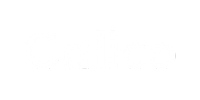 Calico Labs white logo